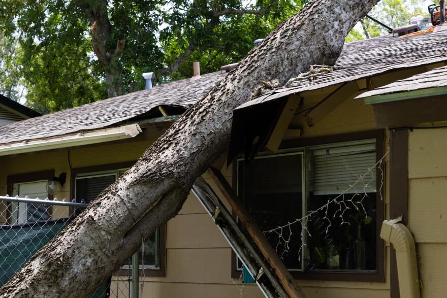 Fallen live oak limb resting on a damaged roof in Fair Oaks Ranch after a storm